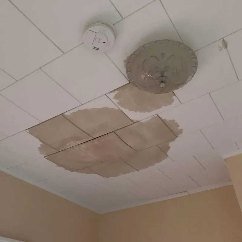 Ceiling Water Damage Repair in Brentwood Estates, TN
