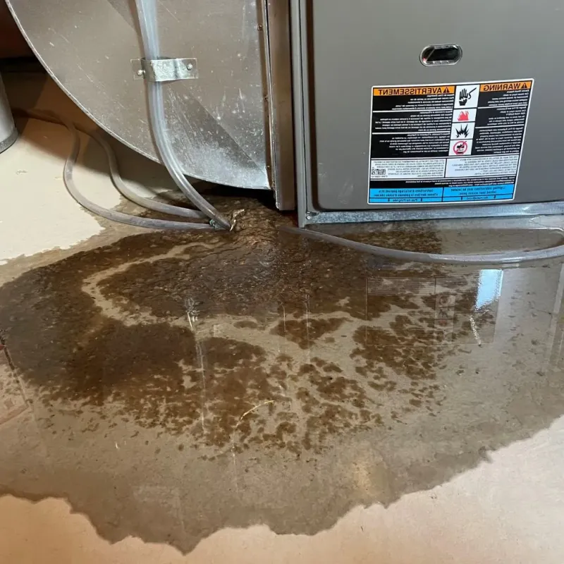 Pipe Burst and Leak Restoration in Brentwood Estates, TN